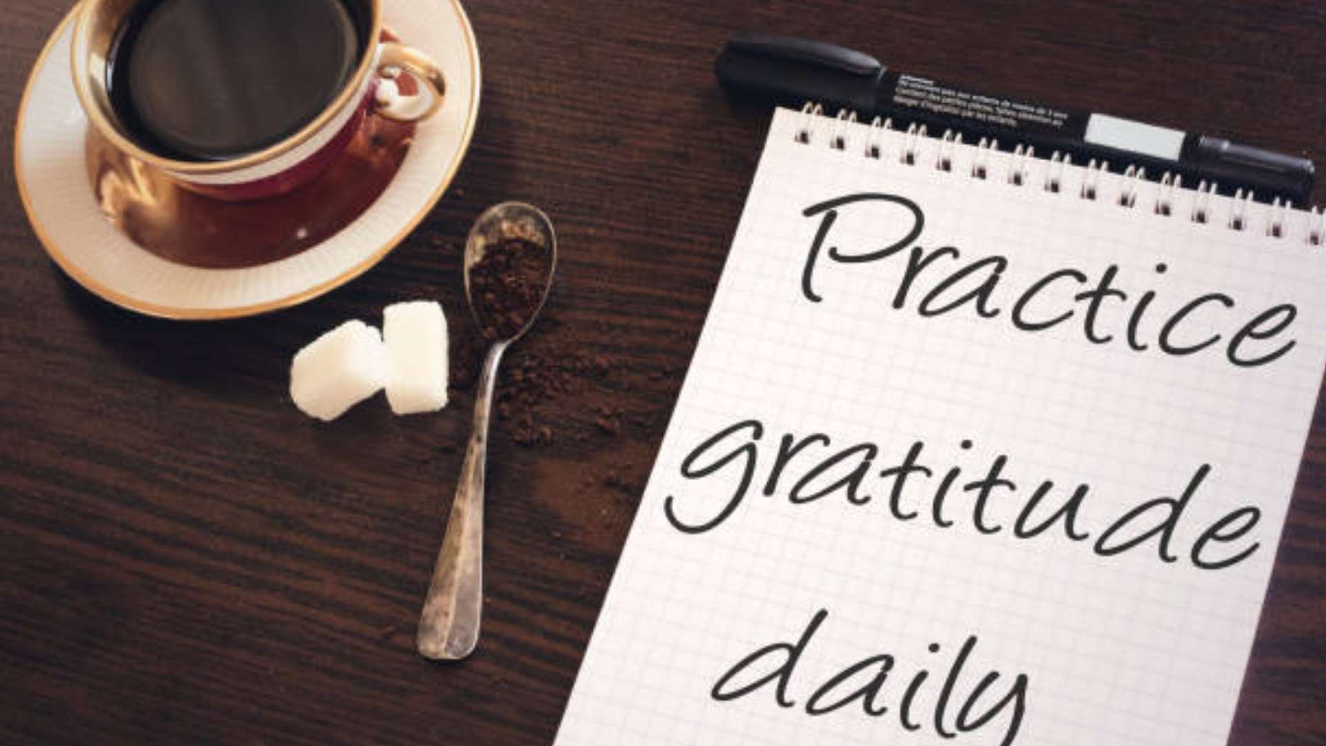 Person writing in gratitude journal at sunrise in nature