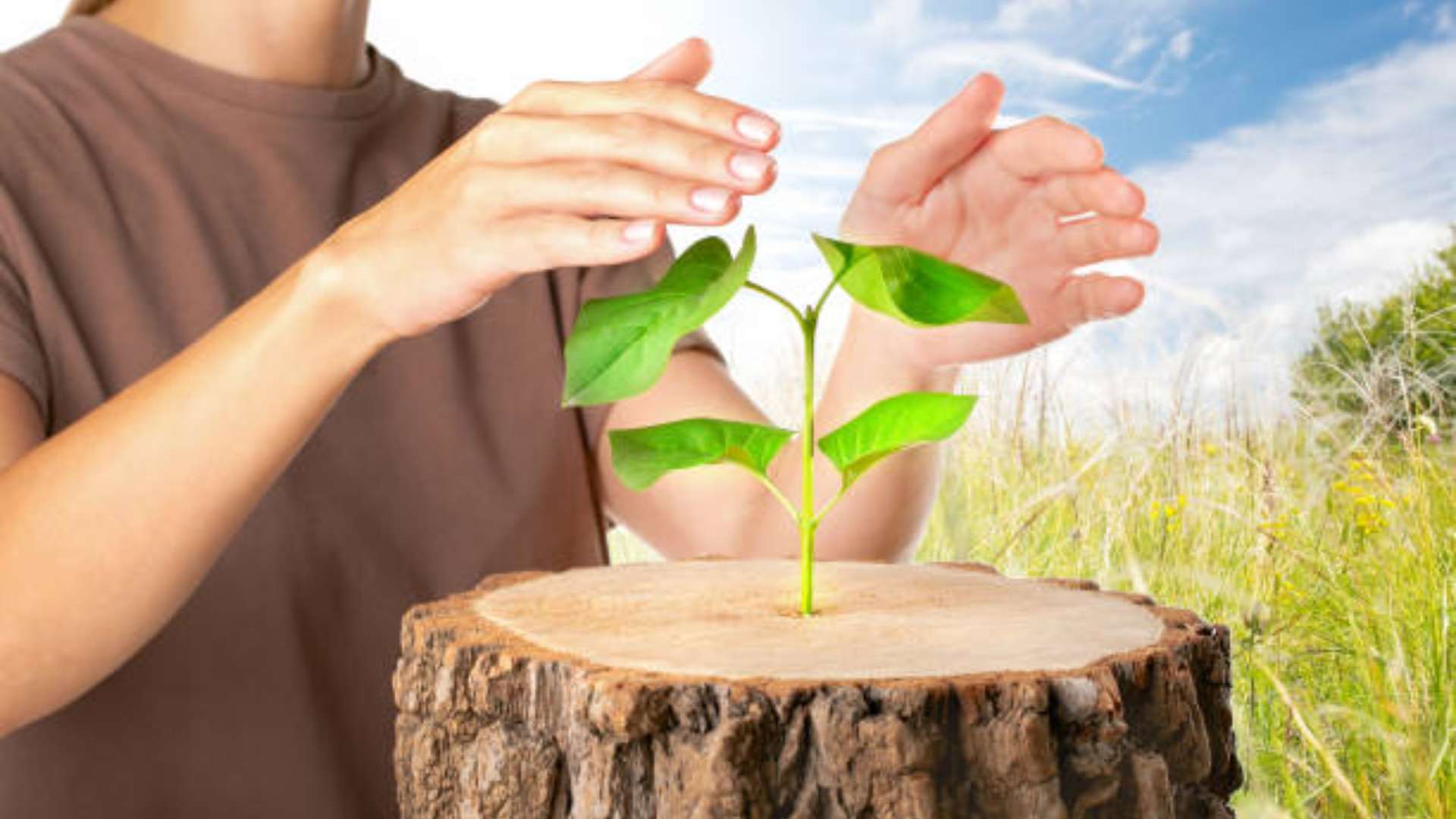 A person reflecting during a journey of soft rebuilding and personal transformation after clearing life obstacles.